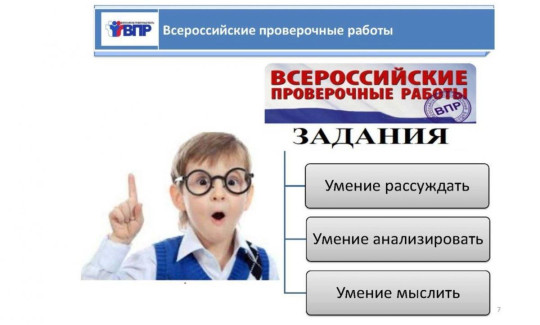 В  школах нашей страны стартовал «сезон» Всероссийских проверочных работ (ВПР).
